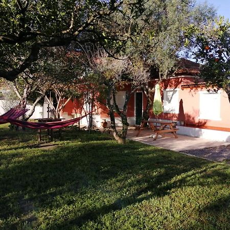 Casa Das Laranjeiras E Parque Infantil Azeitao Eksteriør bilde