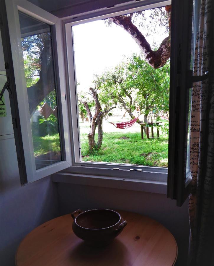 Casa Das Laranjeiras E Parque Infantil Azeitao Eksteriør bilde